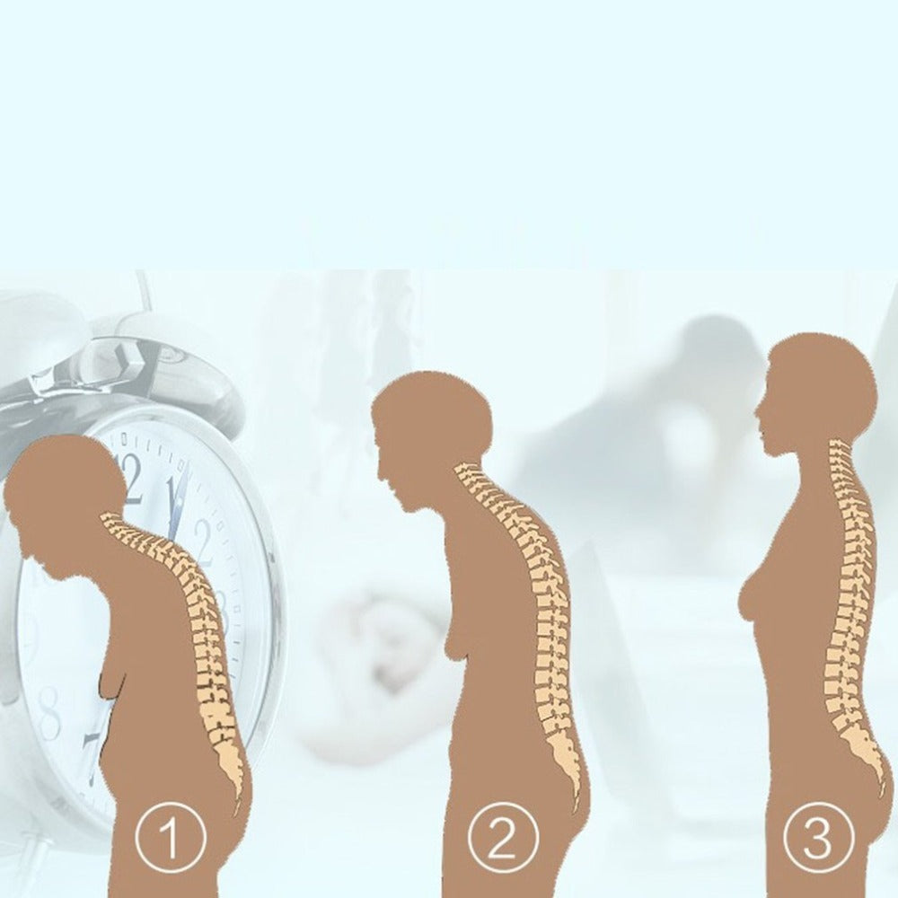 PosturFlex-Power in Your Posture - Pro Wear&Gear